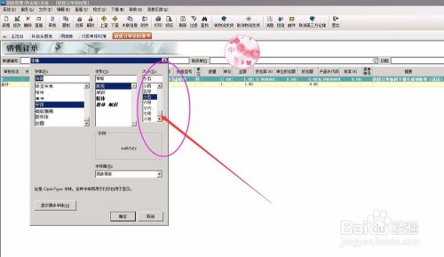 如何在软件开发中修改财务软件销售订单模块的表格字体